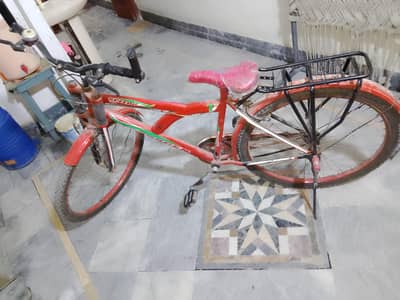 speed bicycle