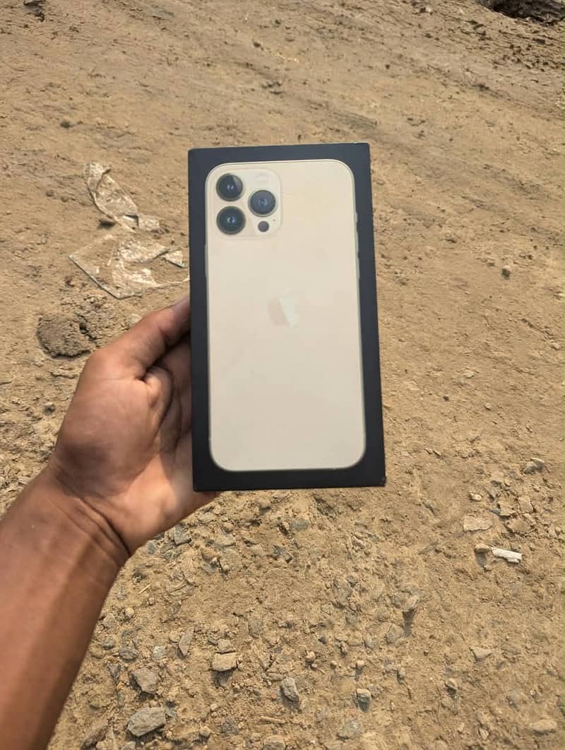 Apple iPhone 13 Pro Max 1