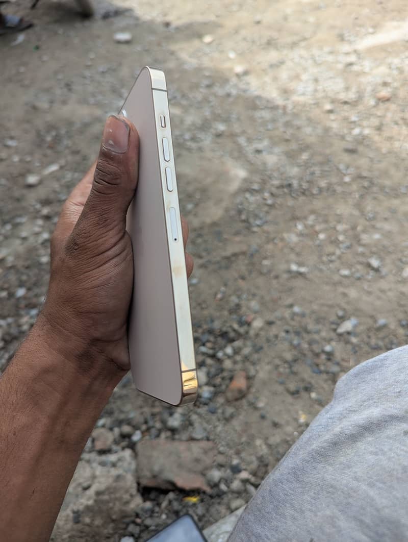 Apple iPhone 13 Pro Max 4