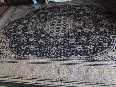 T. V lounge carpet for sale
