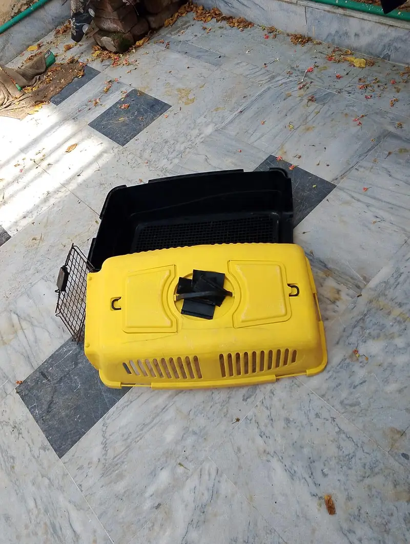 CATS AND DOGS CAGE FOR SALE URGENTLY — photo 2