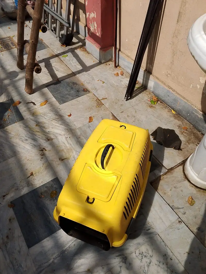 CATS AND DOGS CAGE FOR SALE URGENTLY — photo 3