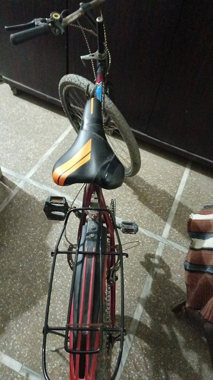 phoenix bicycle 7