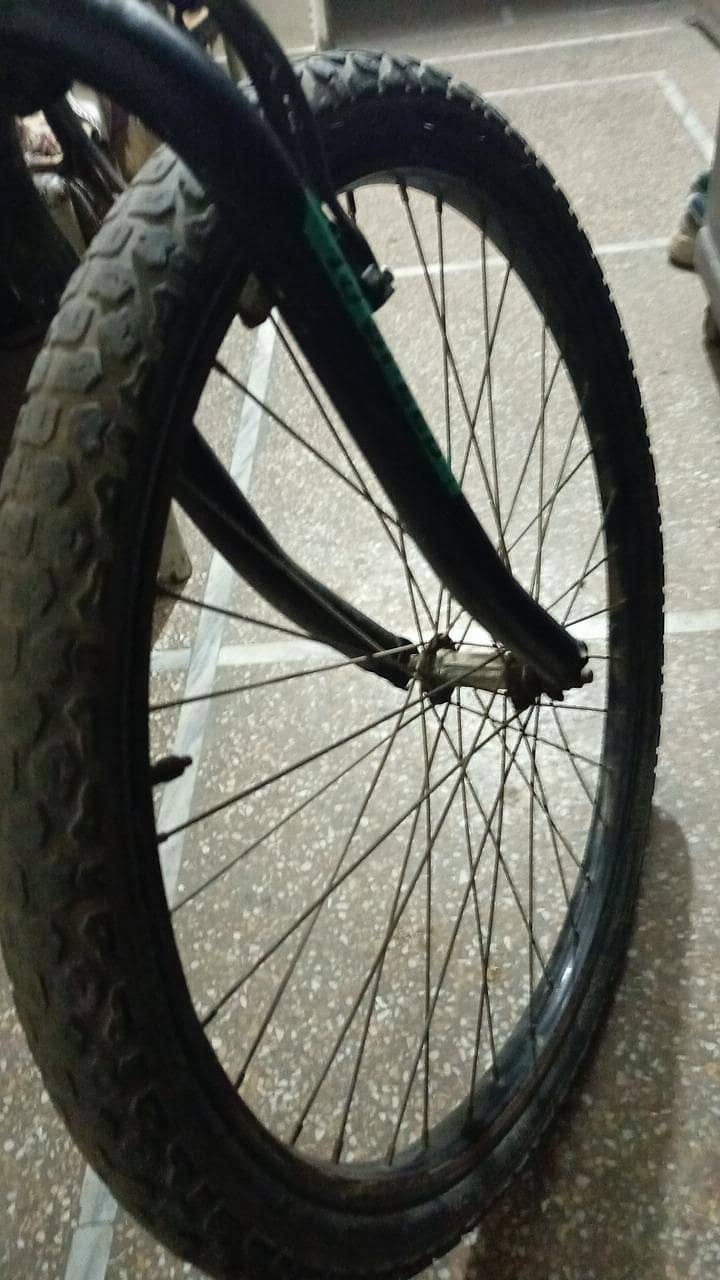 phoenix bicycle 9