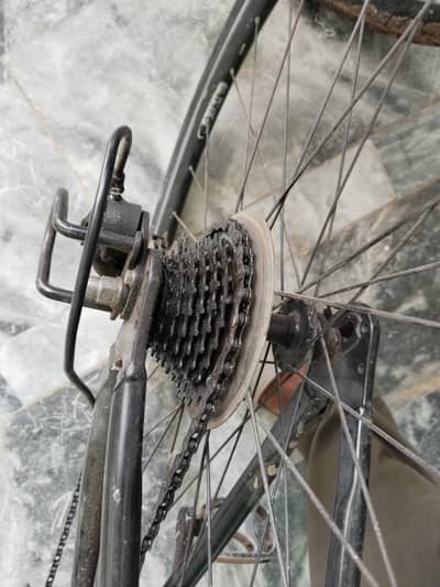Gaint momentem bycycle