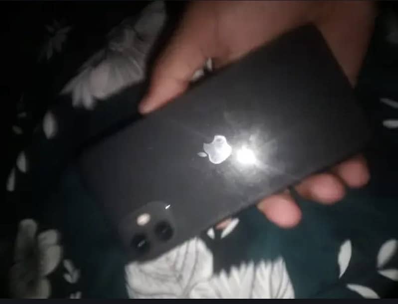 Apple iPhone 11 0