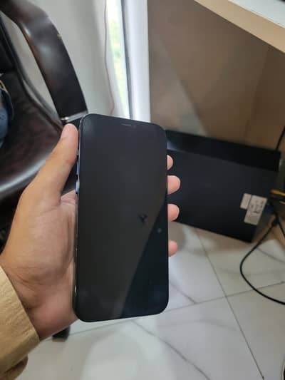 Apple iPhone 12 Pro Max