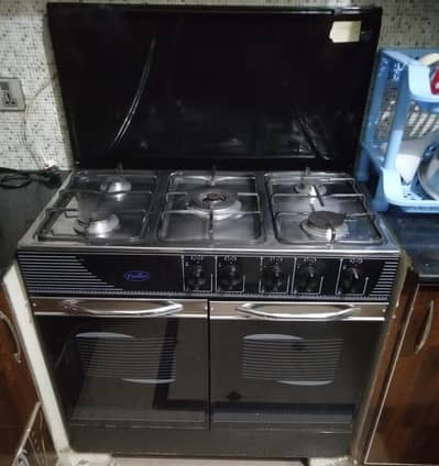 Fischer 5 Burner LPG Gas Stove with 2 Cabinets – Good Condition