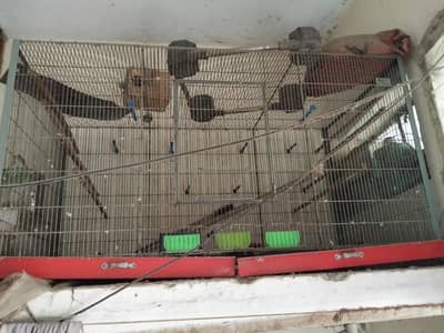 Flying Cage Big size