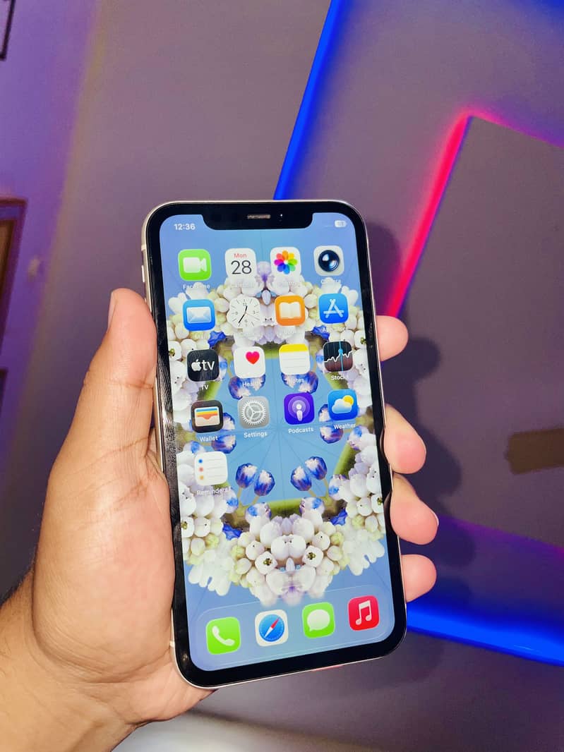 Apple iPhone 11 1
