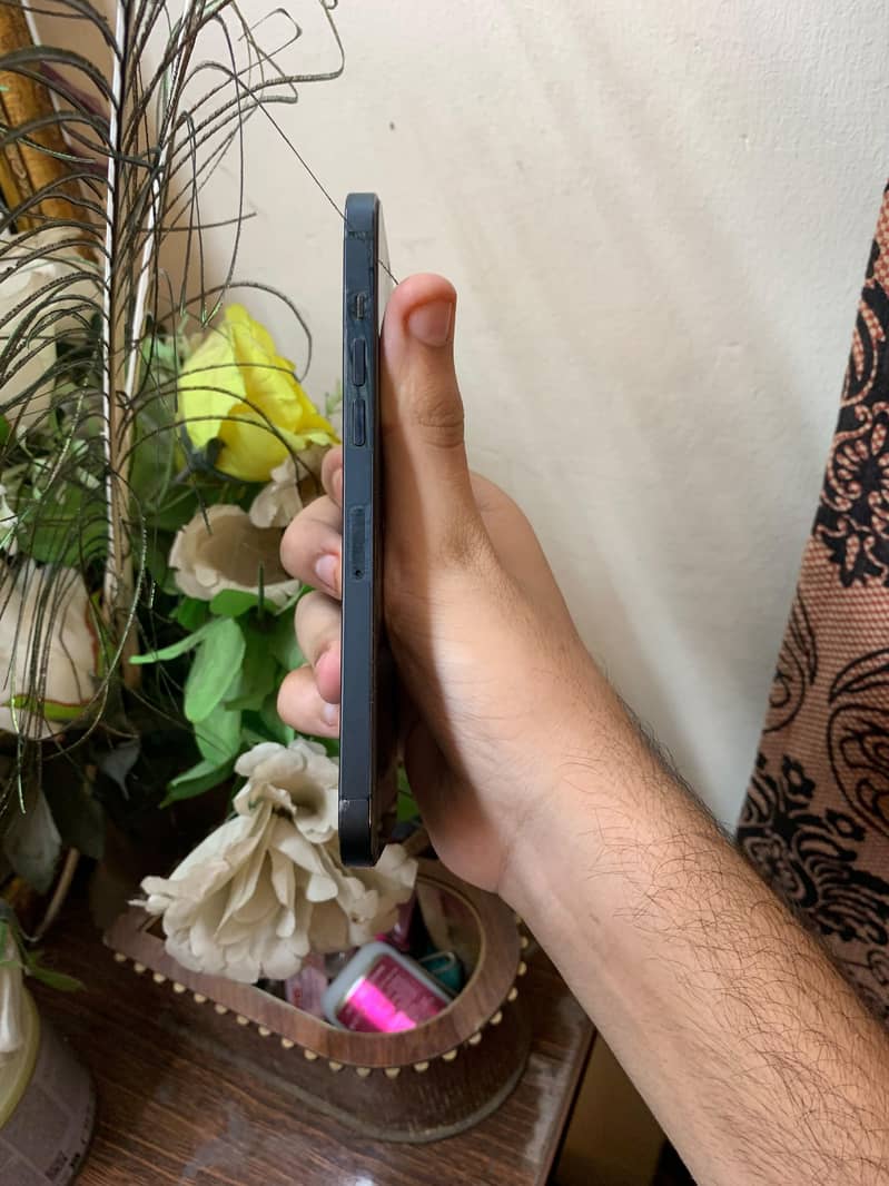 iPhone 12 Pro Max 4