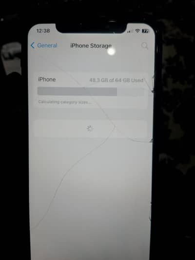 Apple iPhone X