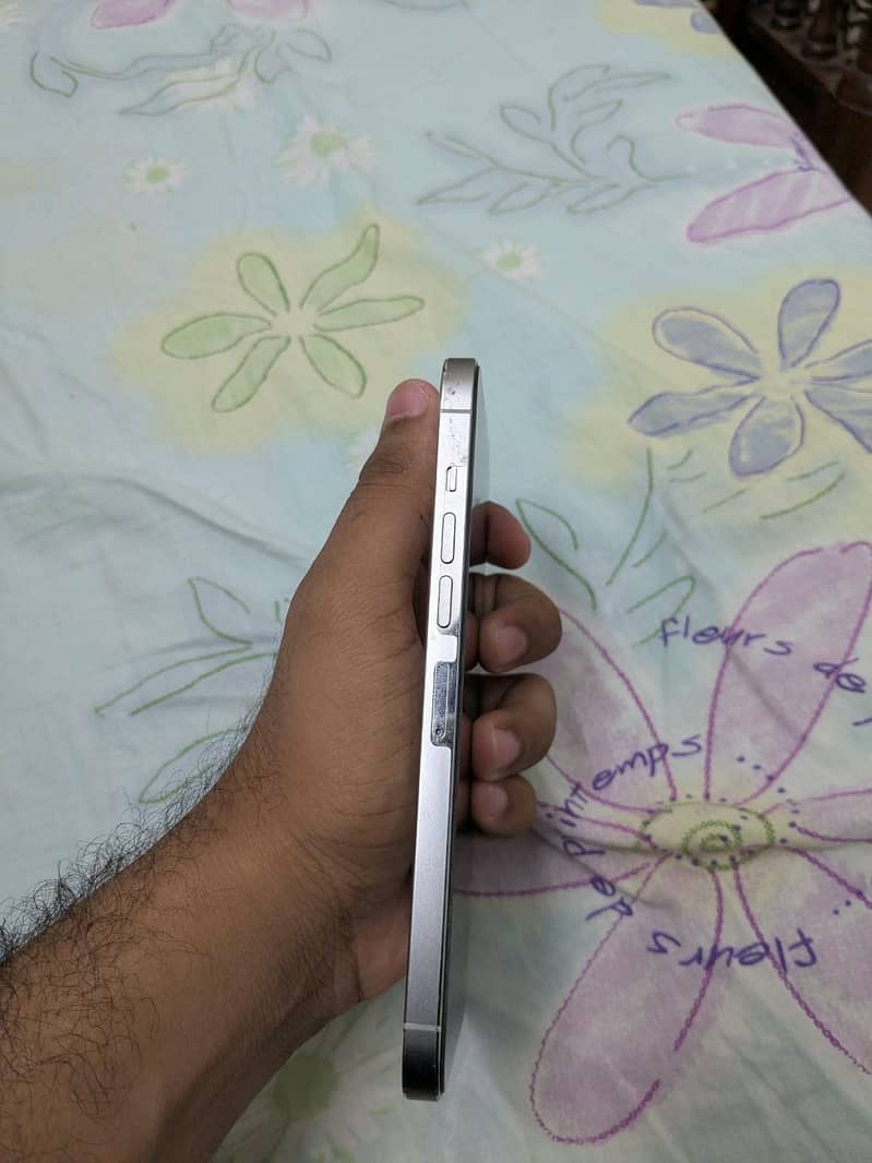 Apple iPhone 13 Pro Max 1