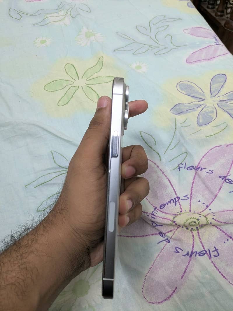 Apple iPhone 13 Pro Max 2