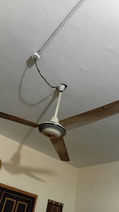 Ceiling Fans