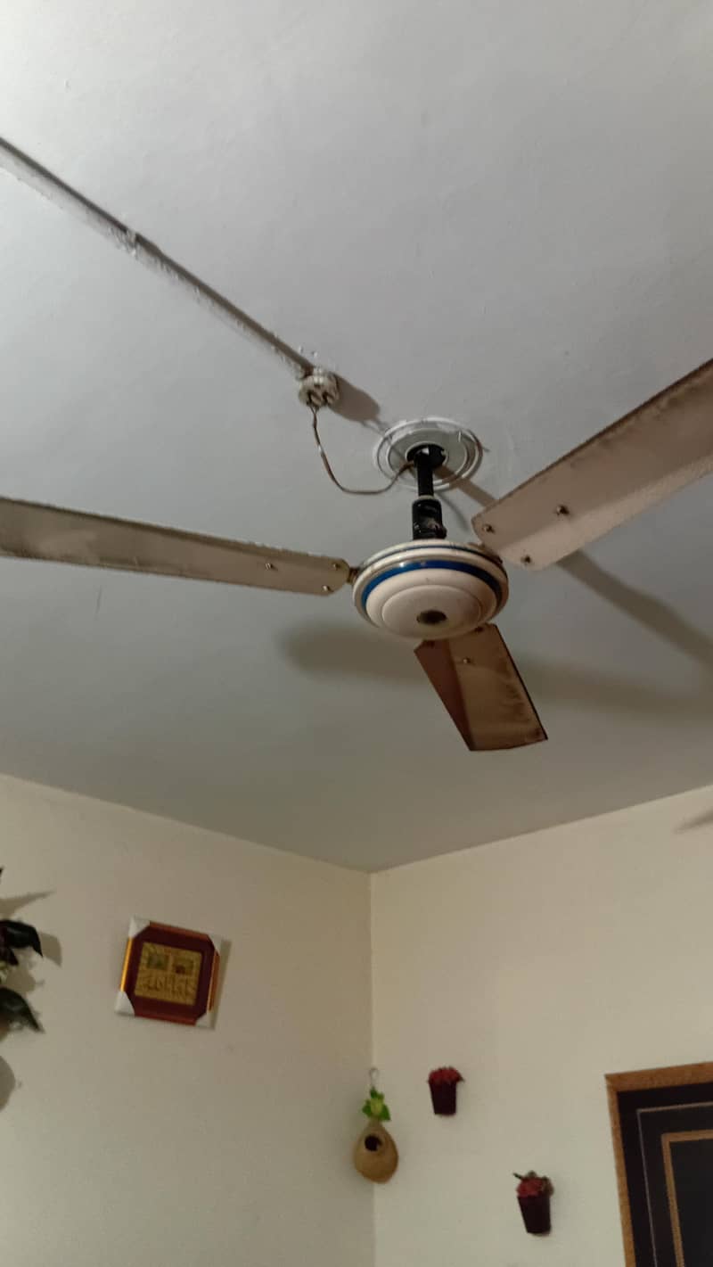 Ceiling Fans 1