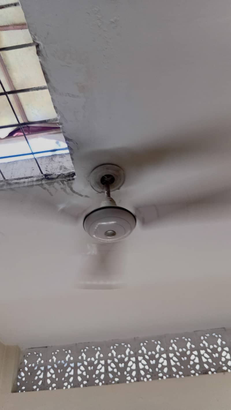 Ceiling Fans 2