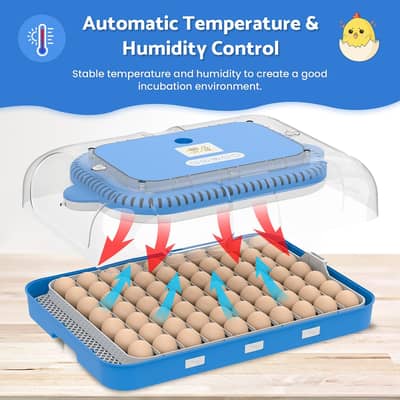 Poultry Egg Incubator | Automatic Hatching Machine