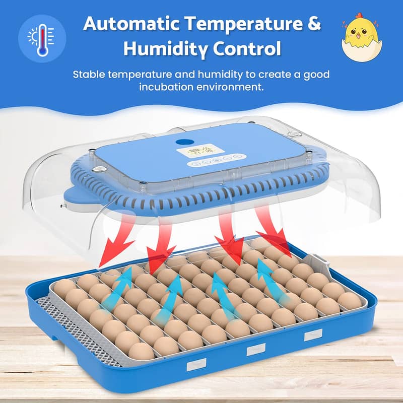 Poultry Egg Incubator | Automatic Hatching Machine 0