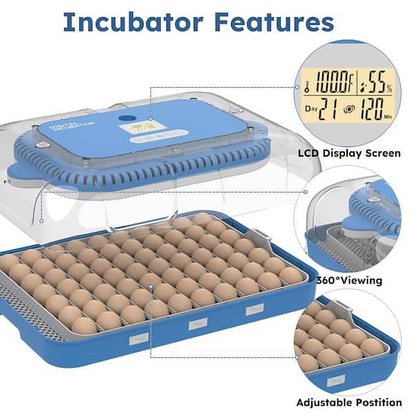 Poultry Egg Incubator | Automatic Hatching Machine 1