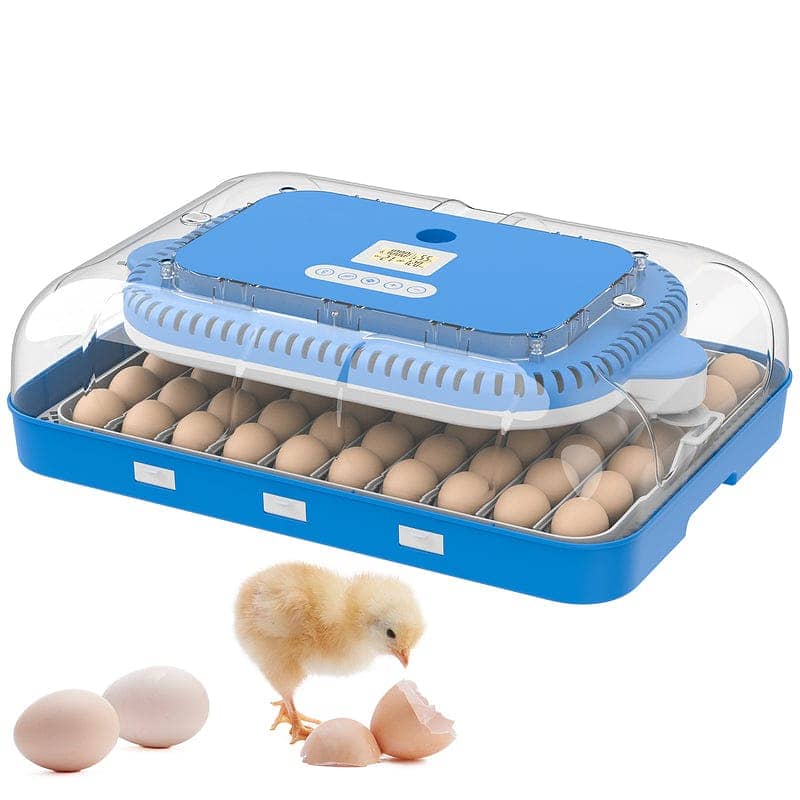 Poultry Egg Incubator | Automatic Hatching Machine 2