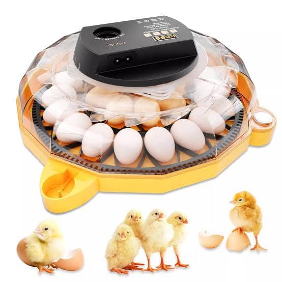 Poultry Egg Incubator | Automatic Hatching Machine 6