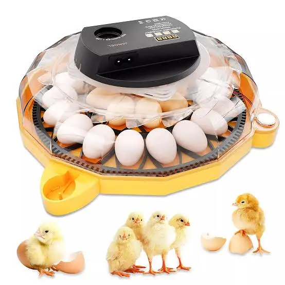 Poultry Egg Incubator | Automatic Hatching Machine — photo 7