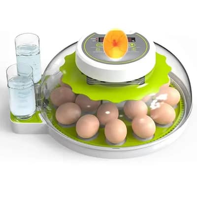 Cabinet Incubator | Commercial Egg Hatching Machine