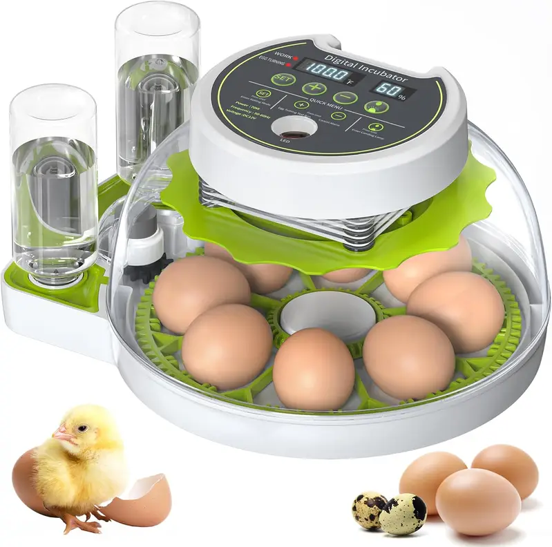 Cabinet Incubator | Commercial Egg Hatching Machine — photo 2