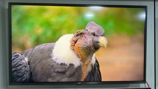 Lg led tv
