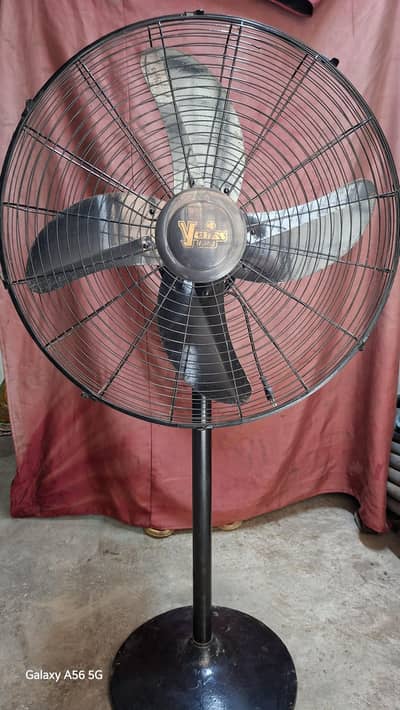 yonas fan