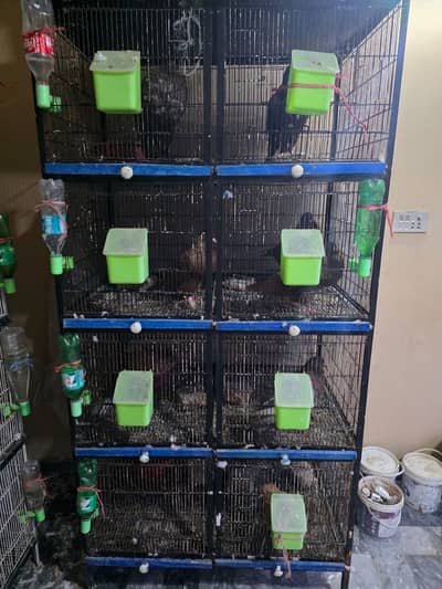 03094664513 contact only whatsapp