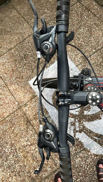Nicorobin bicycle