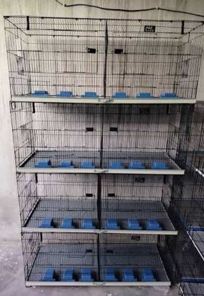 Folding Bird Cages – Excellent Condition