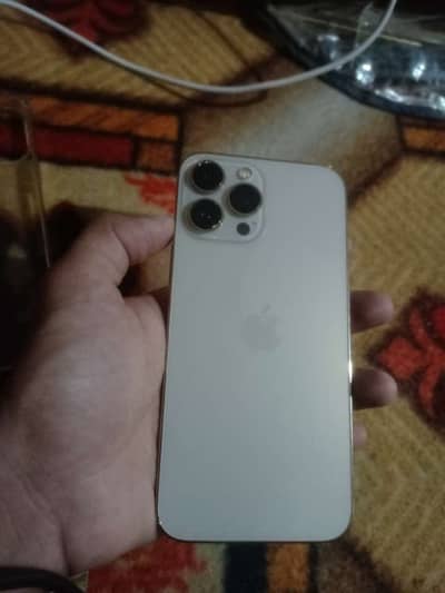 Apple iPhone 13 Pro Max