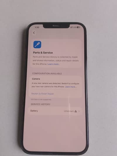 Apple iPhone 12 Pro Max