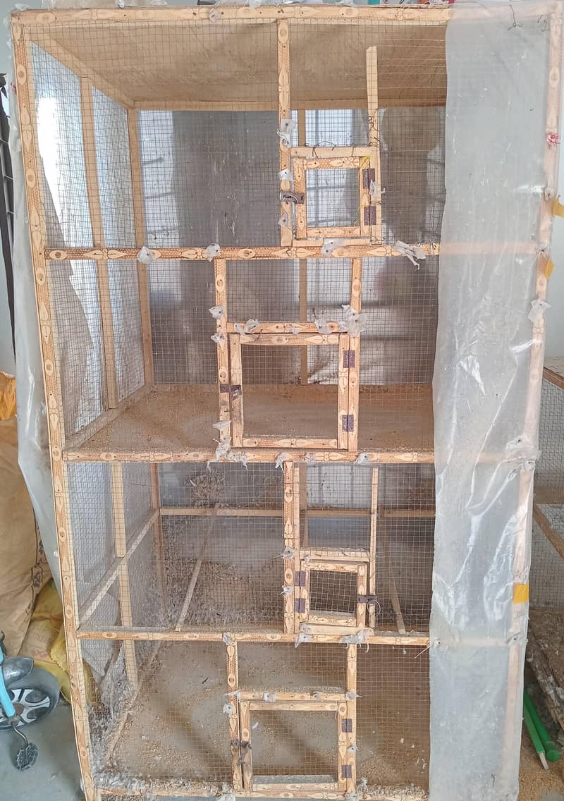 Bird cage 1