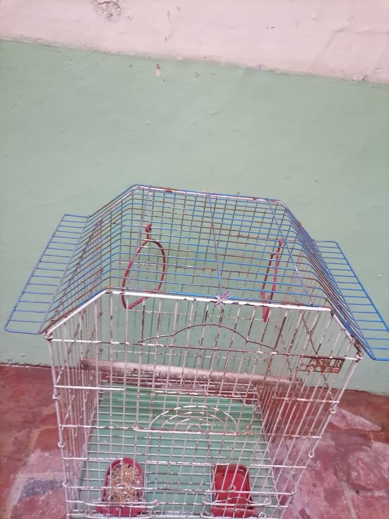 pinjra 2