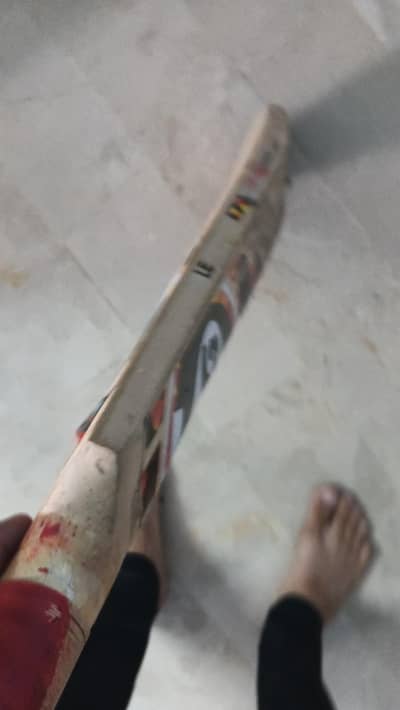 SG BAT