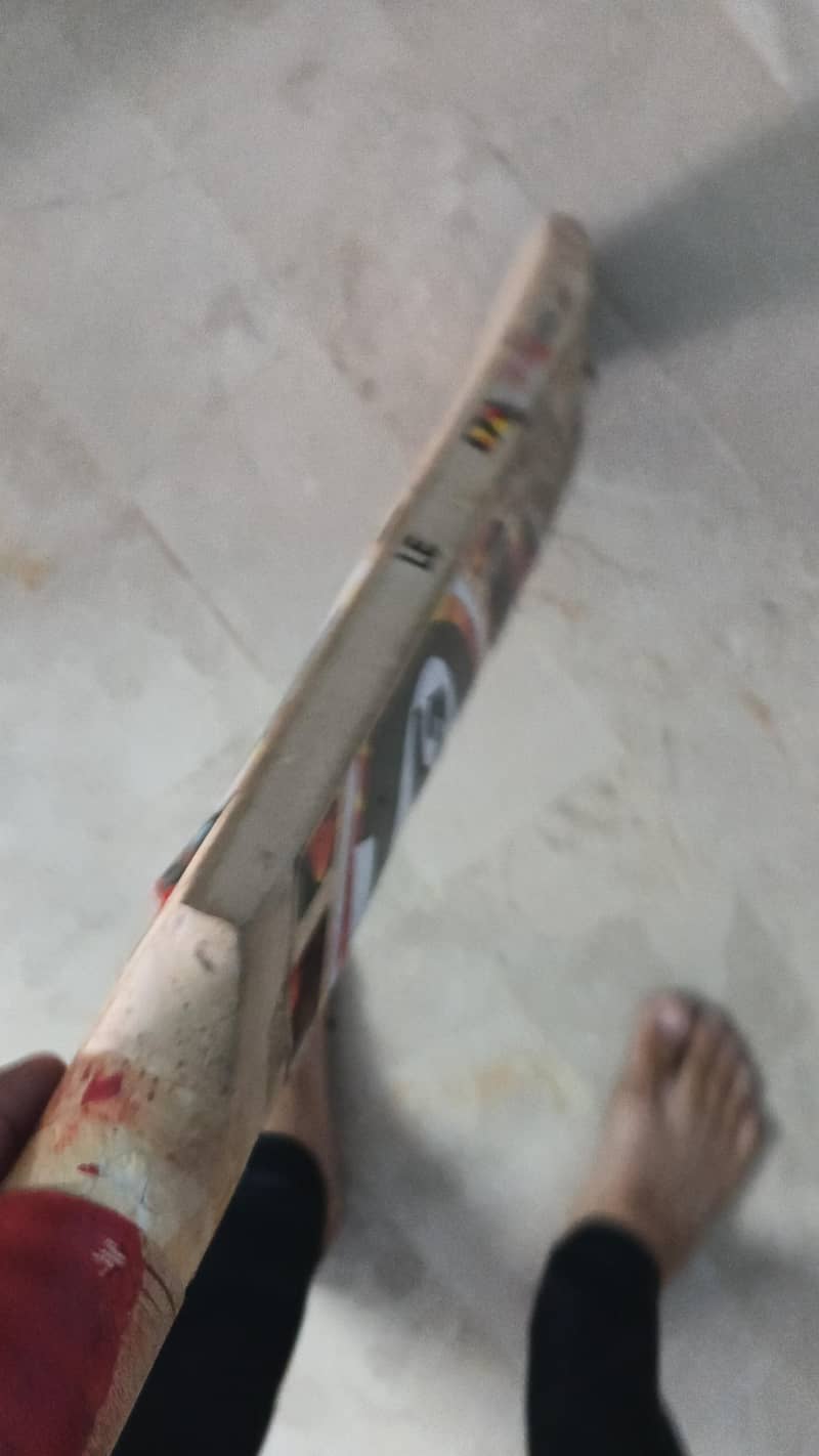 SG BAT 0