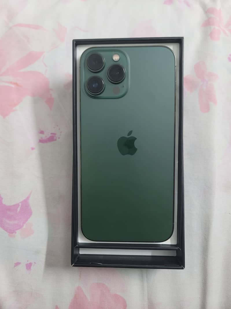Apple iPhone 13 Pro Max 1