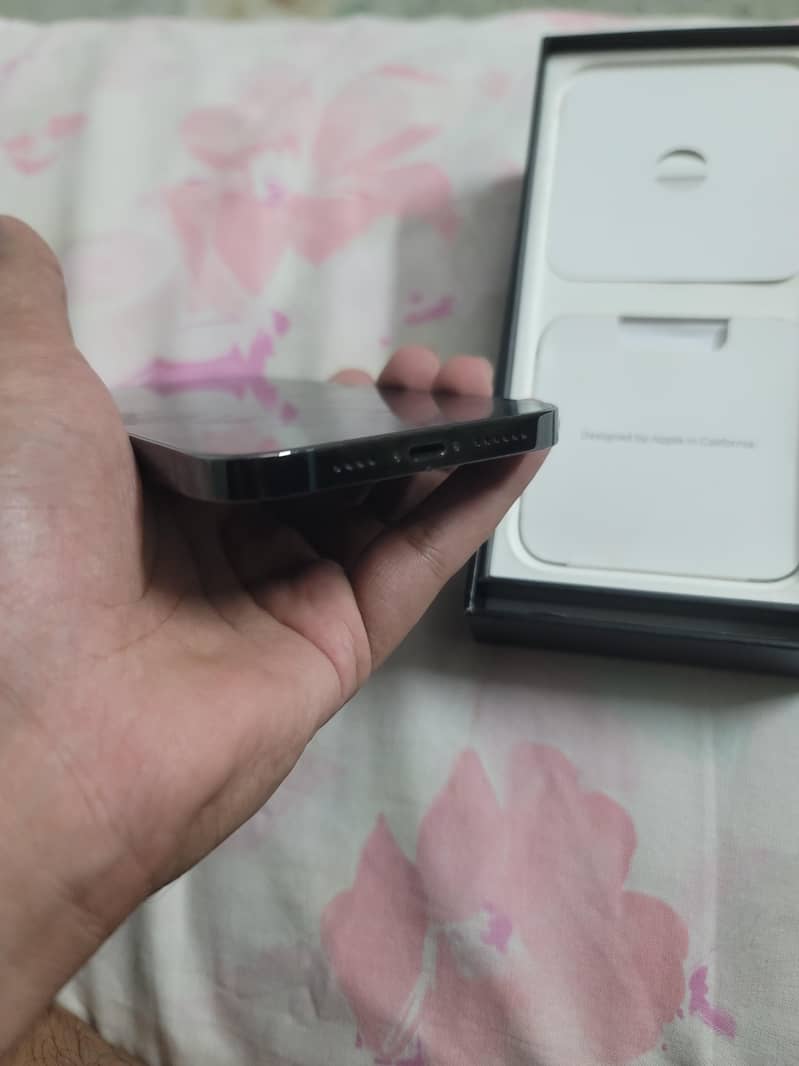 Apple iPhone 13 Pro Max 6