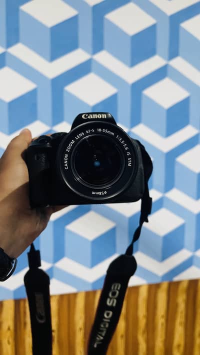 Canon EOS 700D + 18-55mm STM Lens