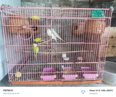 Birds cages for sale 2feet 3feet
