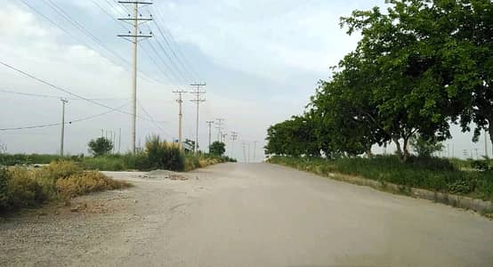 Investor Rate Plot For Sale