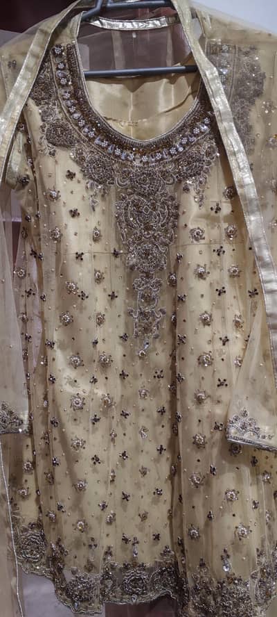 Gorgeous Gold/Skin Net Sharara Suit - Heavy Embroidered (Size Large