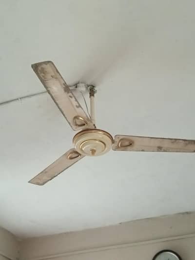 AC fane he