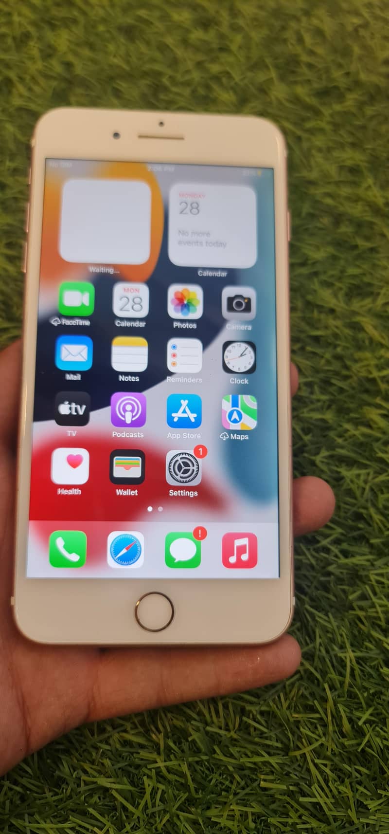 Apple iPhone 7 Plus 1