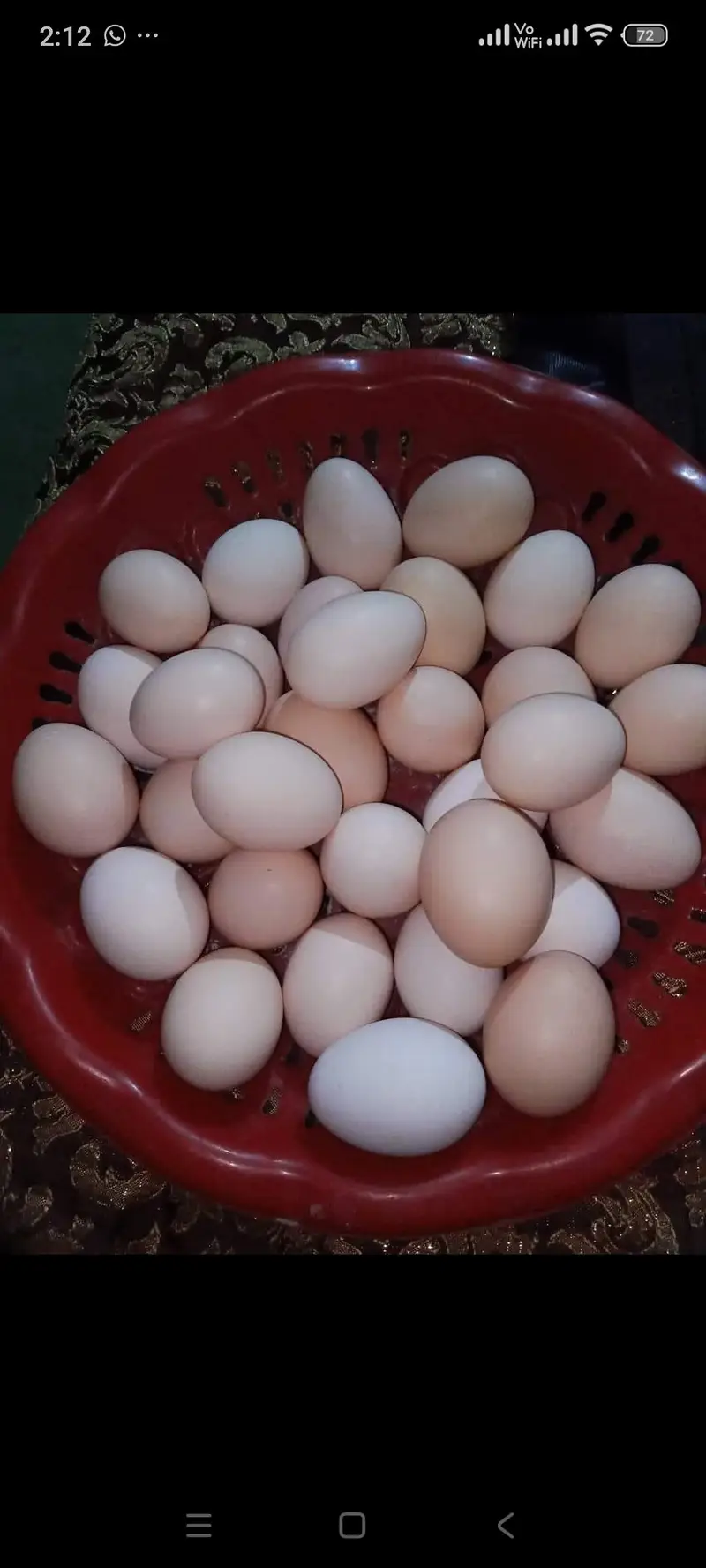 specially egg available instant delivery all over Lahore — photo 2