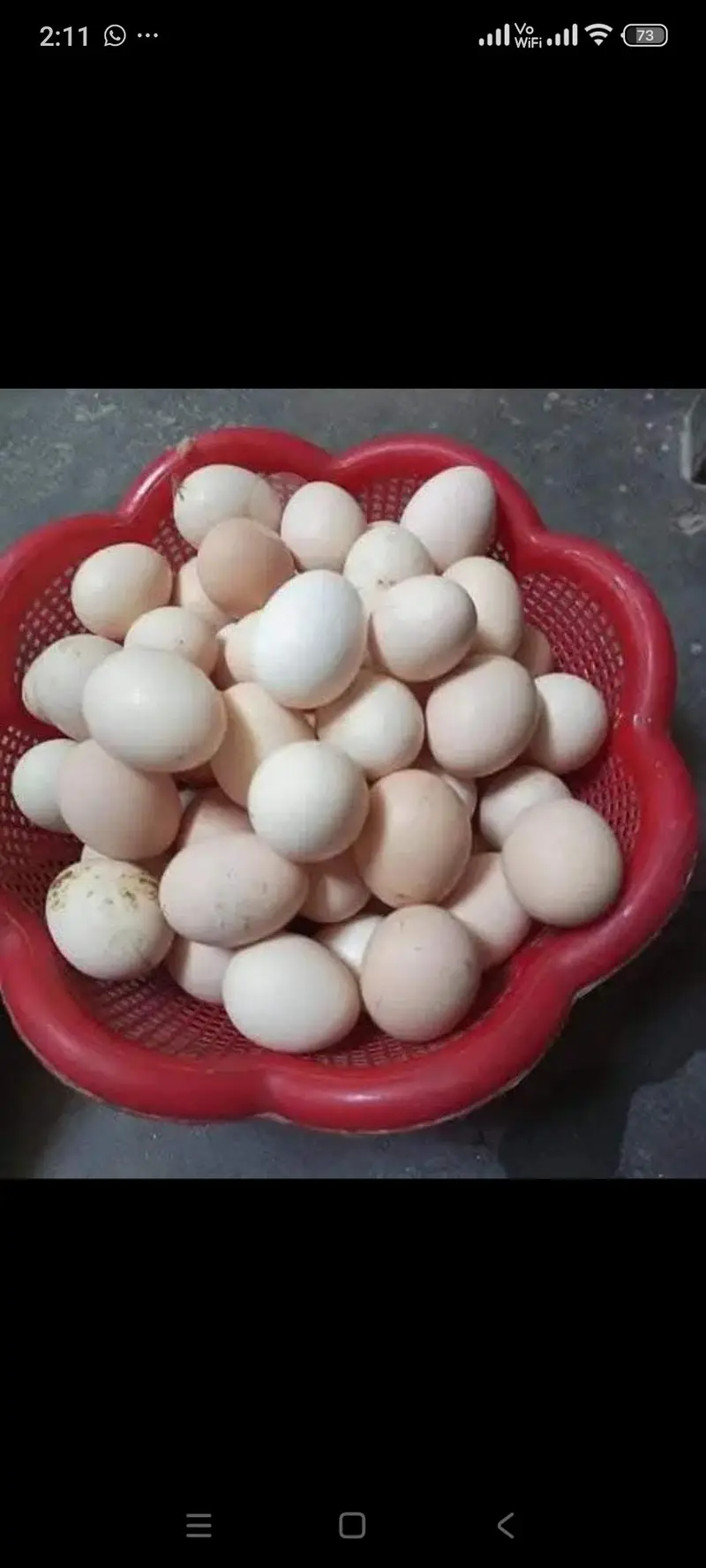 specially egg available instant delivery all over Lahore — photo 3